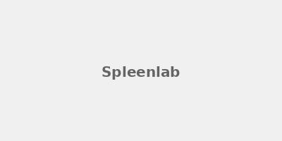 Spleenlab GmbH